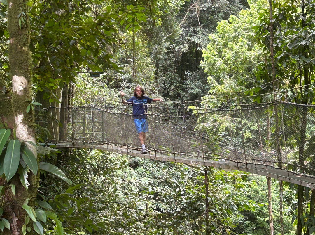 Rainmaker Park-帕利塔必去景点