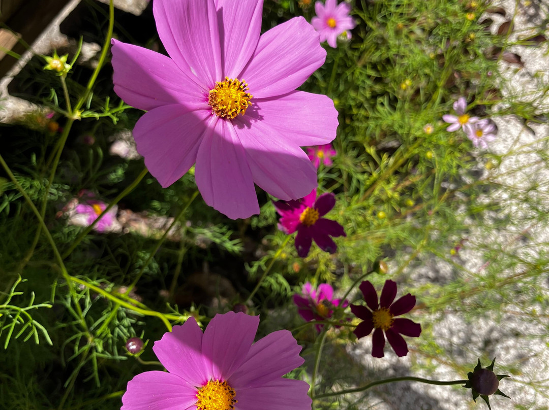 Antico Borgo di Sottoguda-罗卡皮耶托雷必去景点