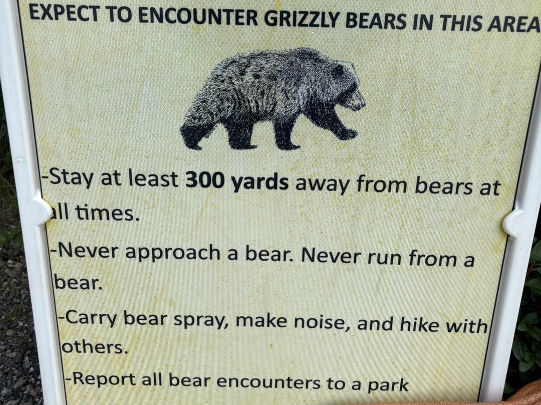 Denali Visitor Center-德纳利国家公园和自然保护区必去景点