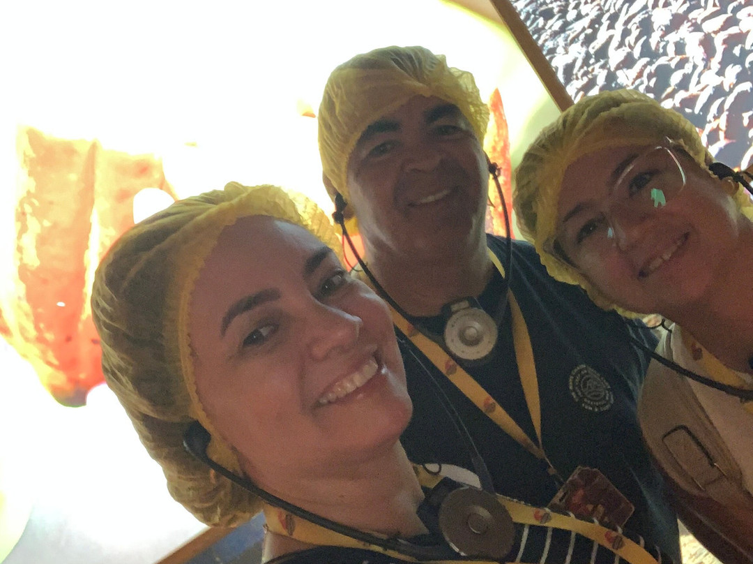 Museu Garoto-维拉维尔哈必去景点