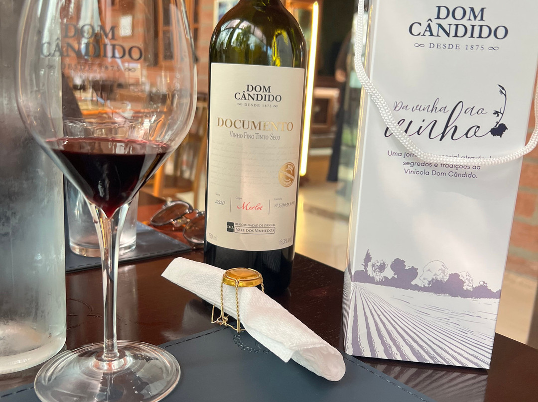 Vinicola Dom Cândido-本图贡萨尔维斯必去景点
