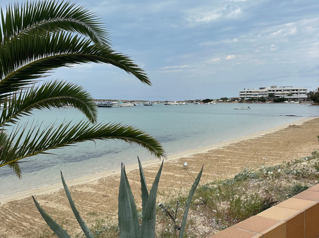 Hostal La Savina主图