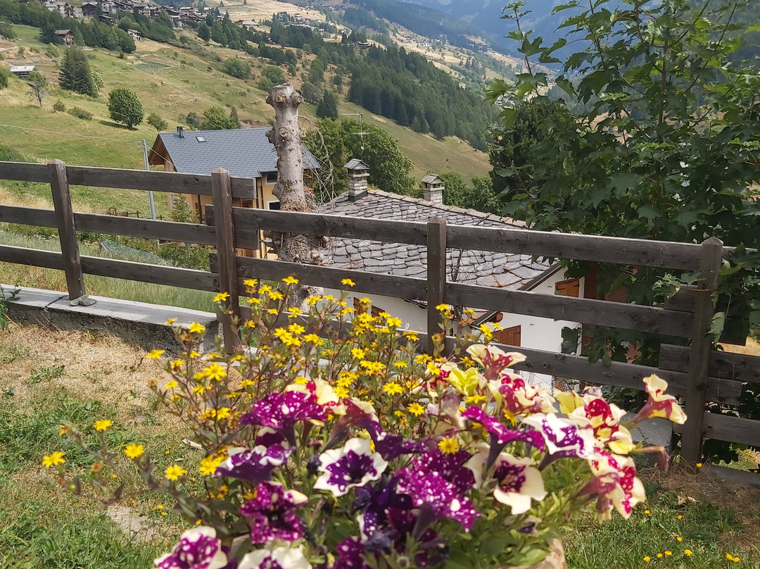 Hotel Alpe Fleurie主图