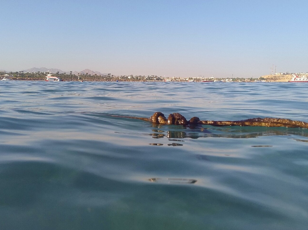 Kalimera Beach-Sissi必去景点