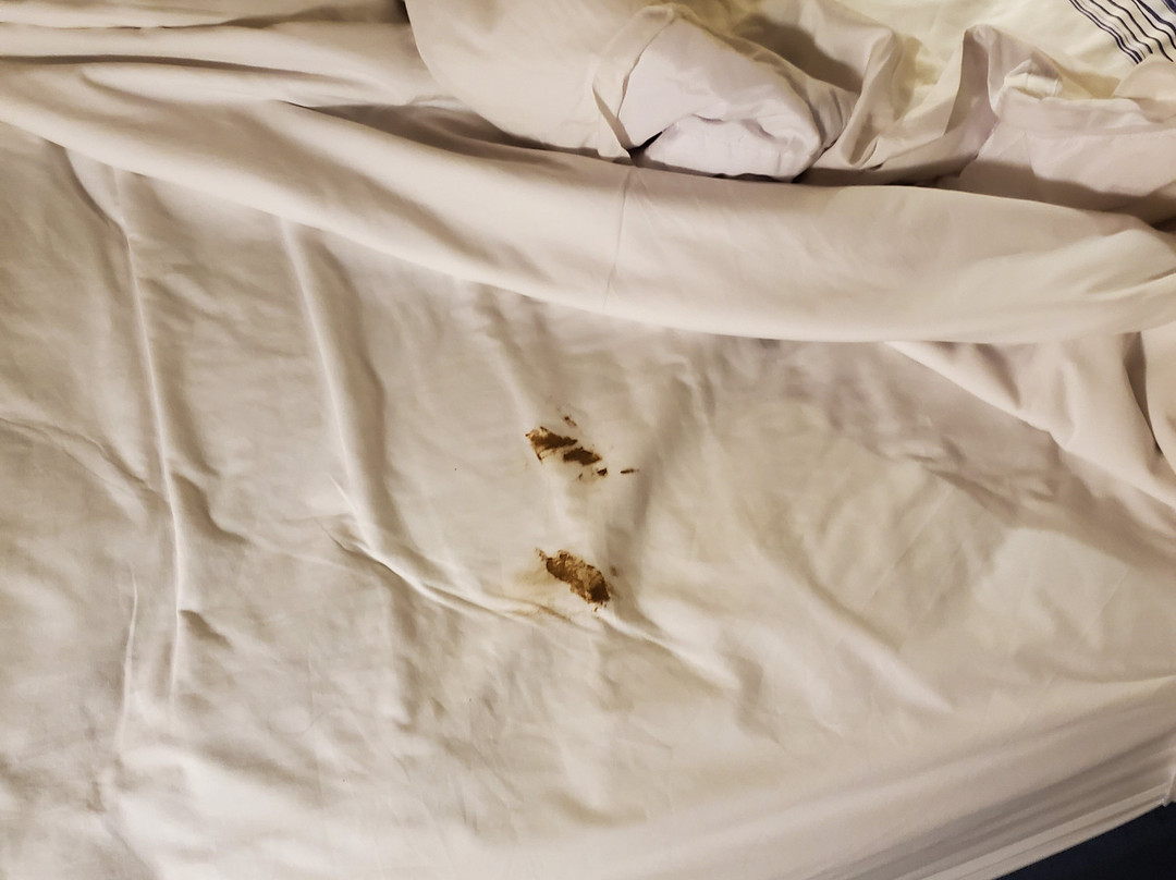 AmericInn by Wyndham Fulton Clinton主图