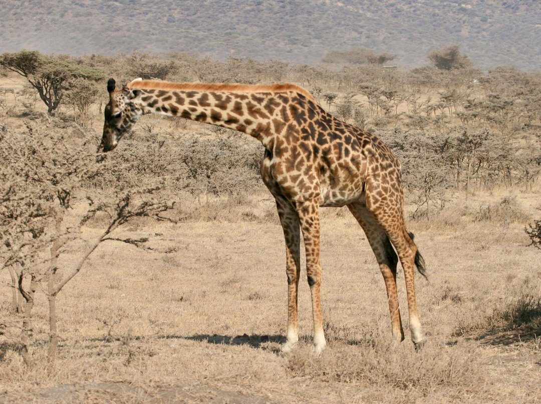 Mamnana Adventures-Olasiti必去景点