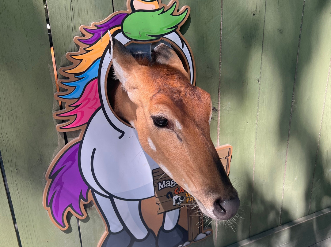 Catoctin Wildlife Preserve-Thurmont必去景点