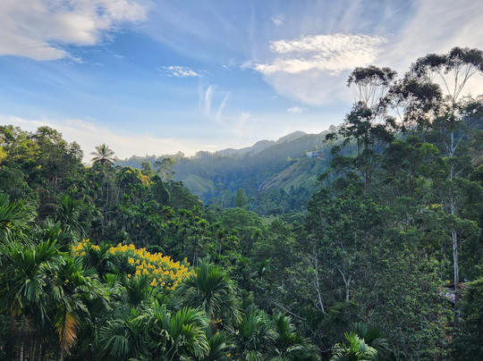 Guide Sri Lanka-卡卢特勒必去景点