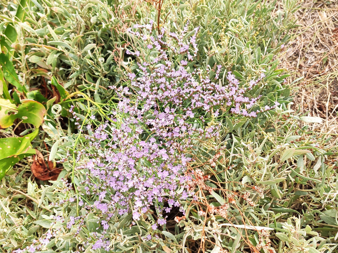 Saline Di Comacchio-科马基奥必去景点