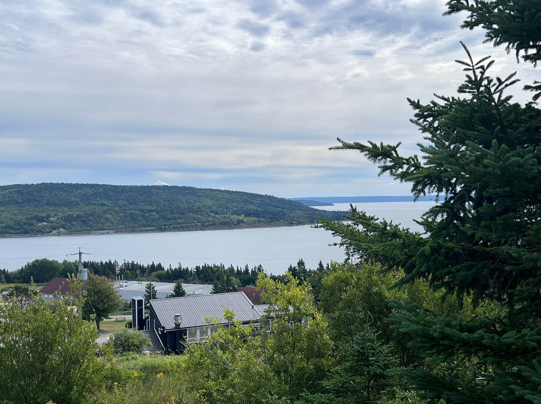 Blackwood Tours-新沃特福德必去景点