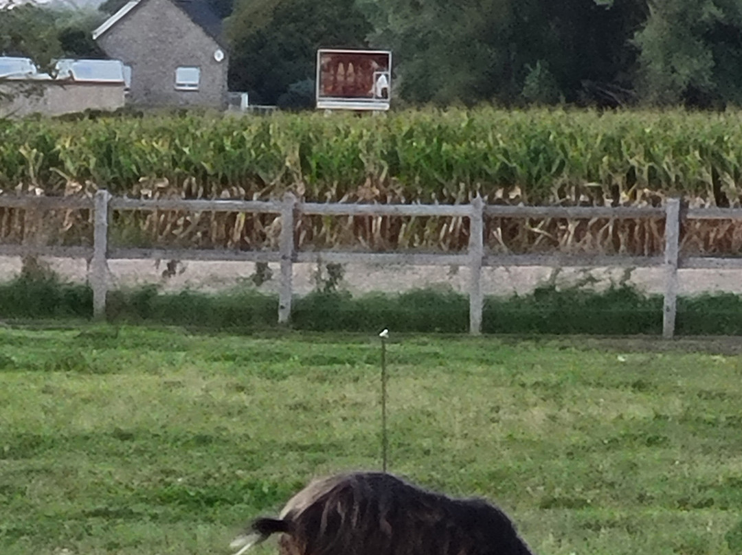 Ferme D'antan-蓬托尔松必去景点