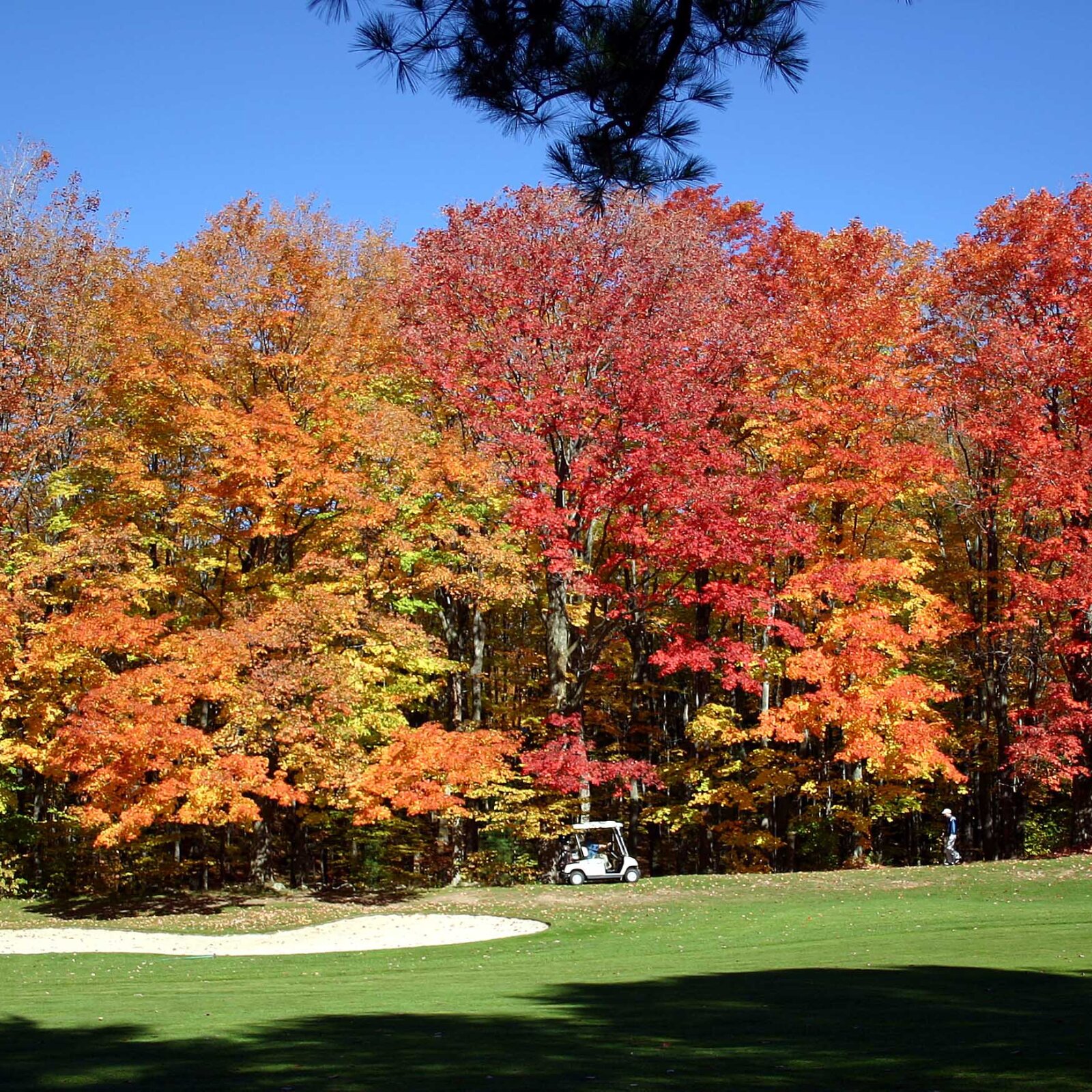 Horseshoe Valley Resort-浴室