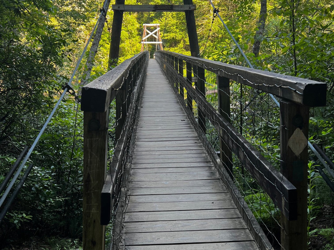 Toccoa River Swinging Bridge-蓝岭必去景点