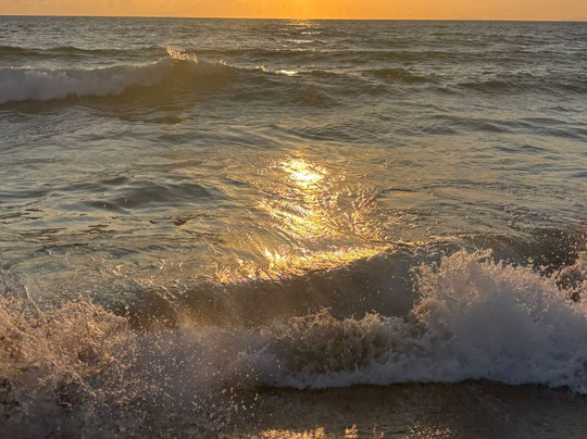 Hotel da Alfredo主图