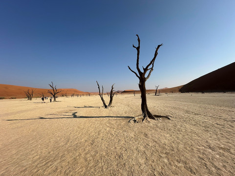 Stay Wild Travel Factory-米兰必去景点