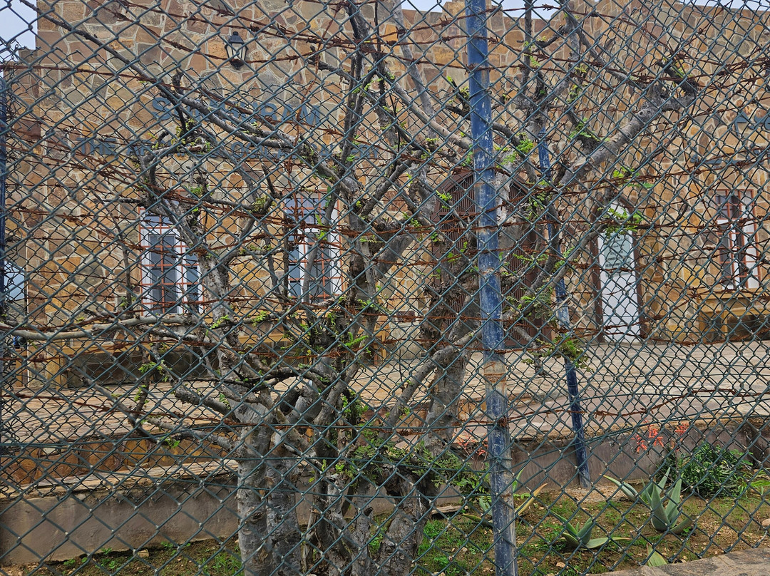 Amazing Salalah Tourism-塞拉莱必去景点