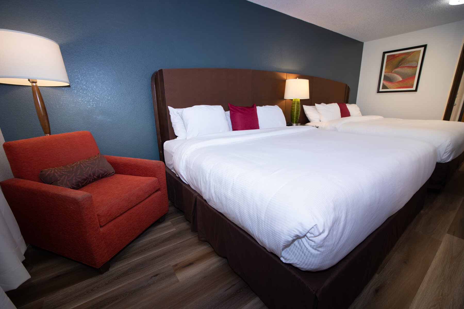 Alliance Hotel & Suites, a Howard Johnson by Wyndham-客卧