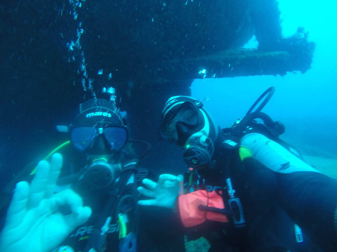 Dolphins Diving Center-犹兰特德玛必去景点