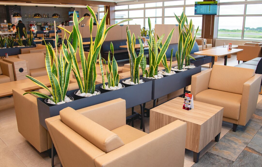 Club Mobay Departure Lounge-蒙特戈贝必去景点