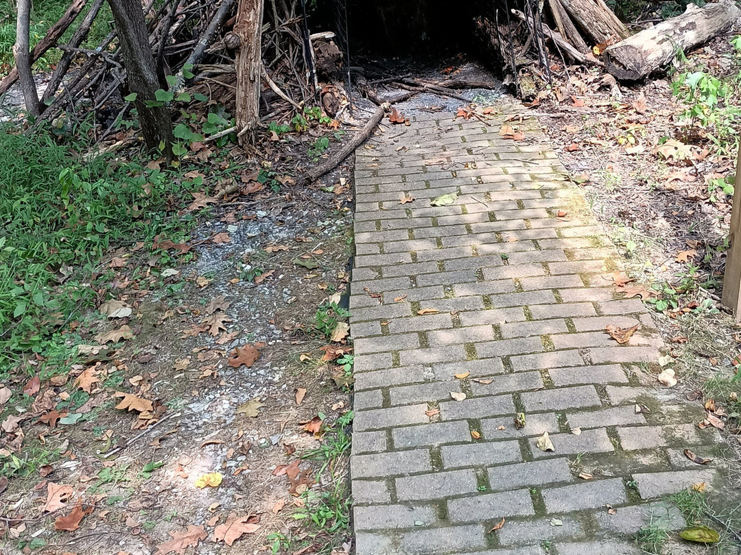 Nixon Park Nature Center-约克必去景点