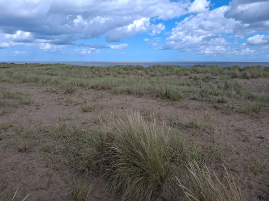 Sandilands Beach-Sutton-on-Sea必去景点