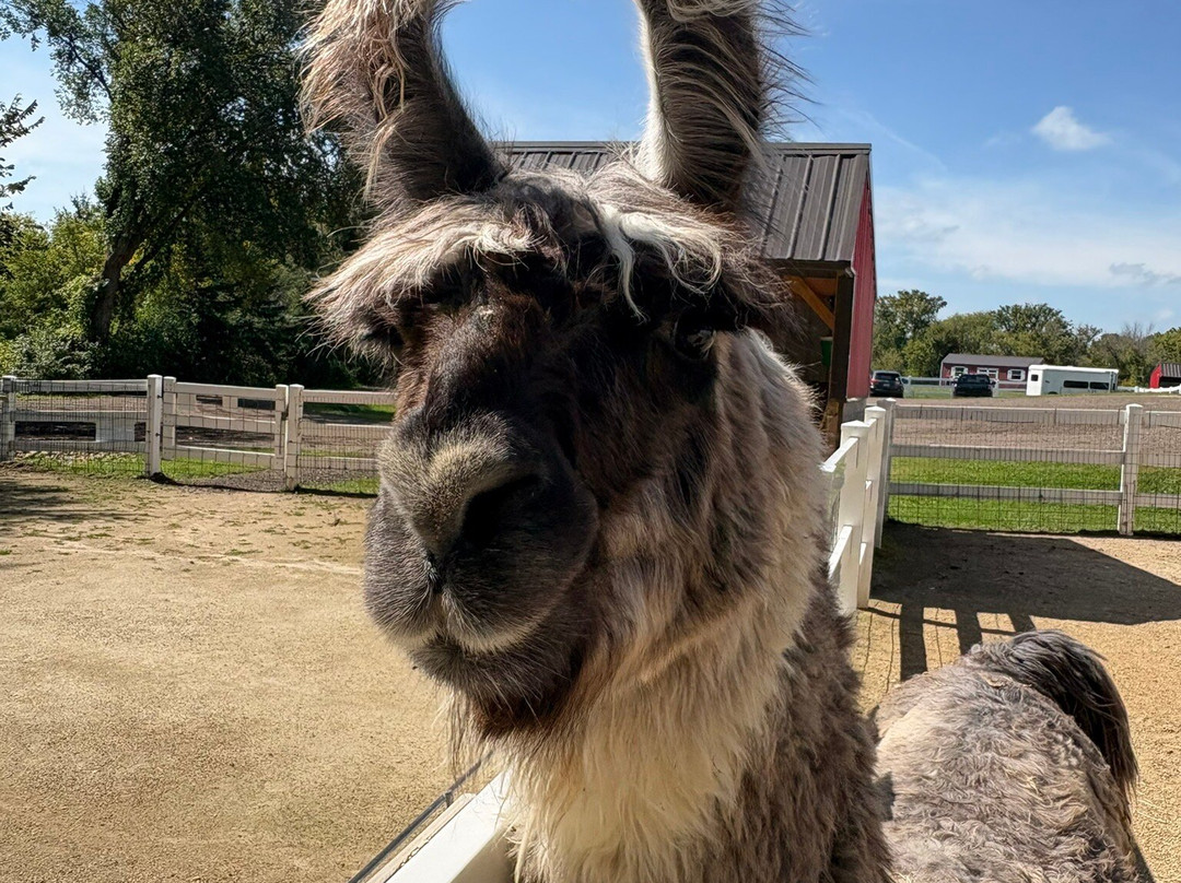 Eagle Eye Farm-River Falls必去景点