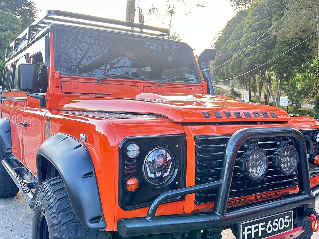 Discover Camerons-丹那拉塔必去景点