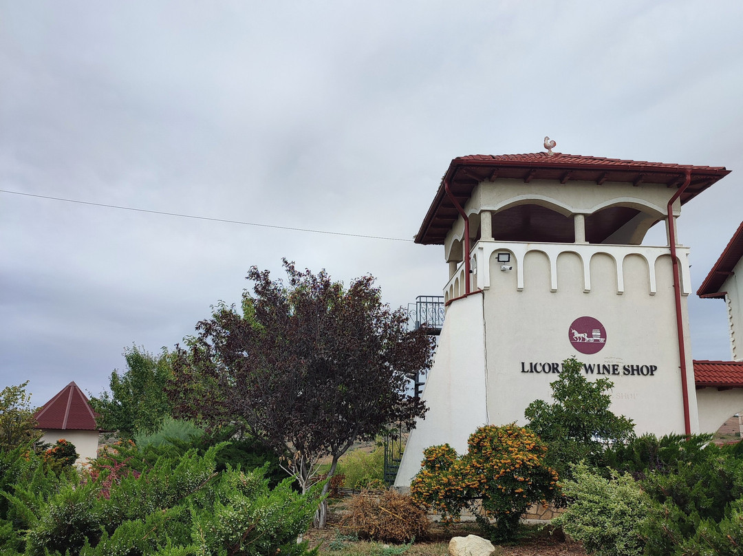 Licorna Winehouse-Mizil必去景点