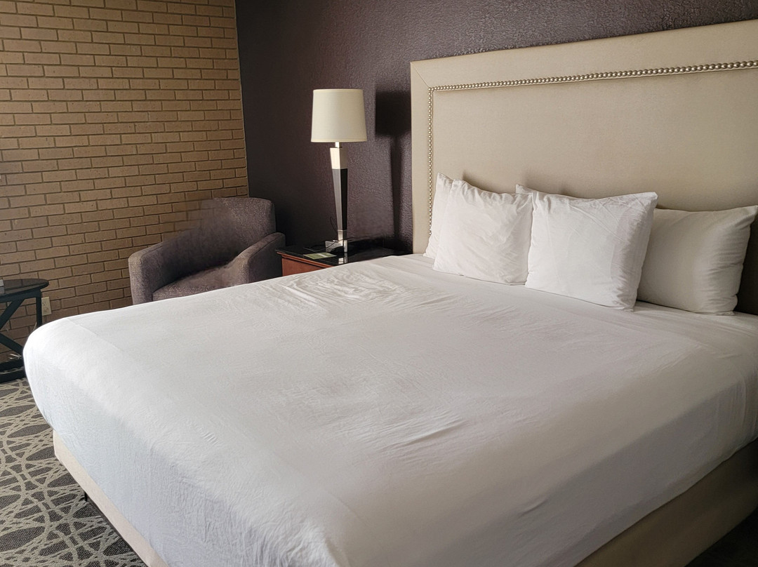 路易斯维尔德鲁里套房酒店主图