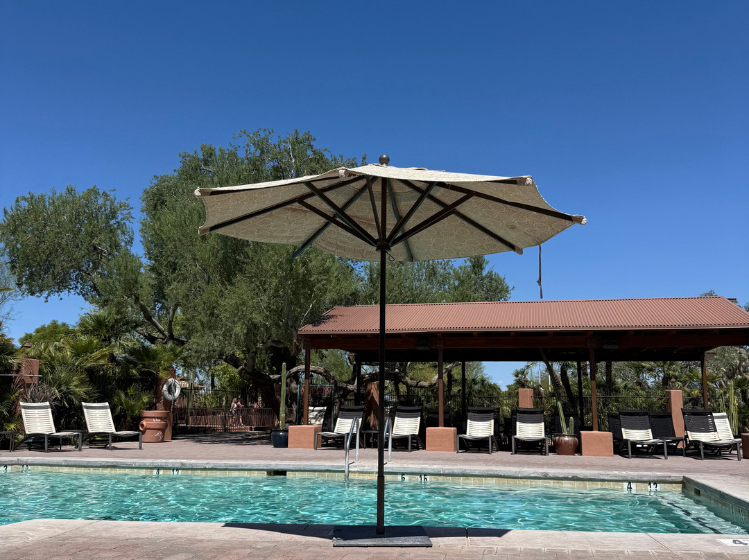 White Stallion Ranch-图森必去景点