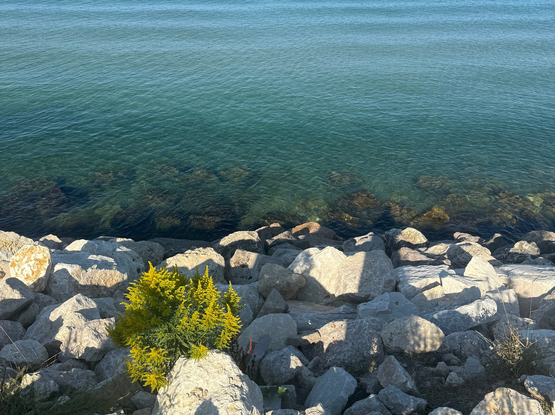 Lake Bluff Inn and Suites主图