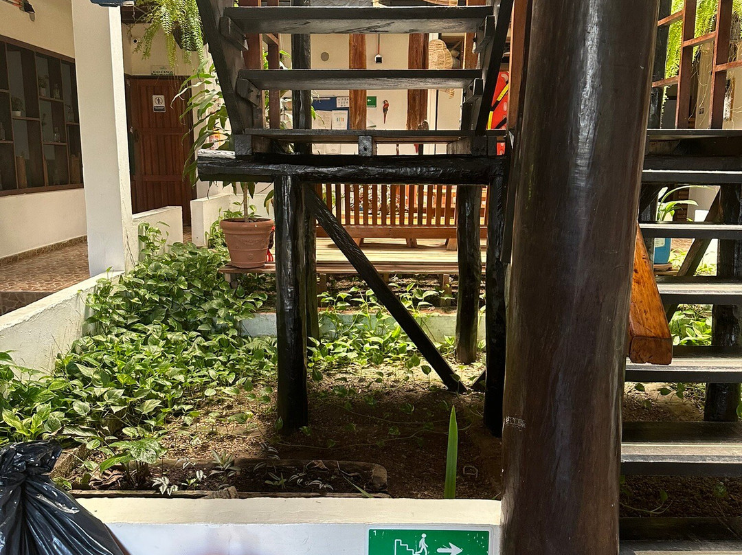 Waira Selva Hotel主图