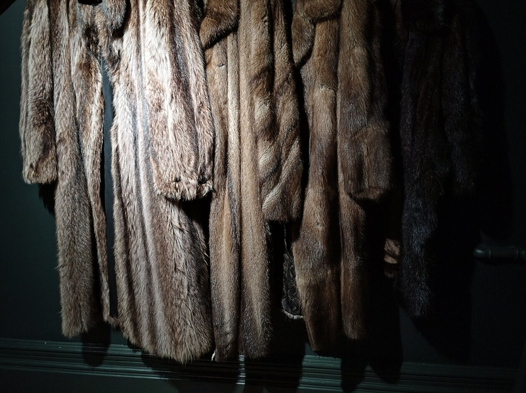 Ynyshir Restaurant and Rooms主图