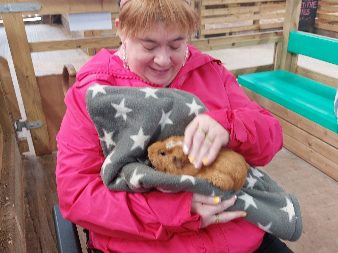 Occombe Farm-佩恩顿必去景点