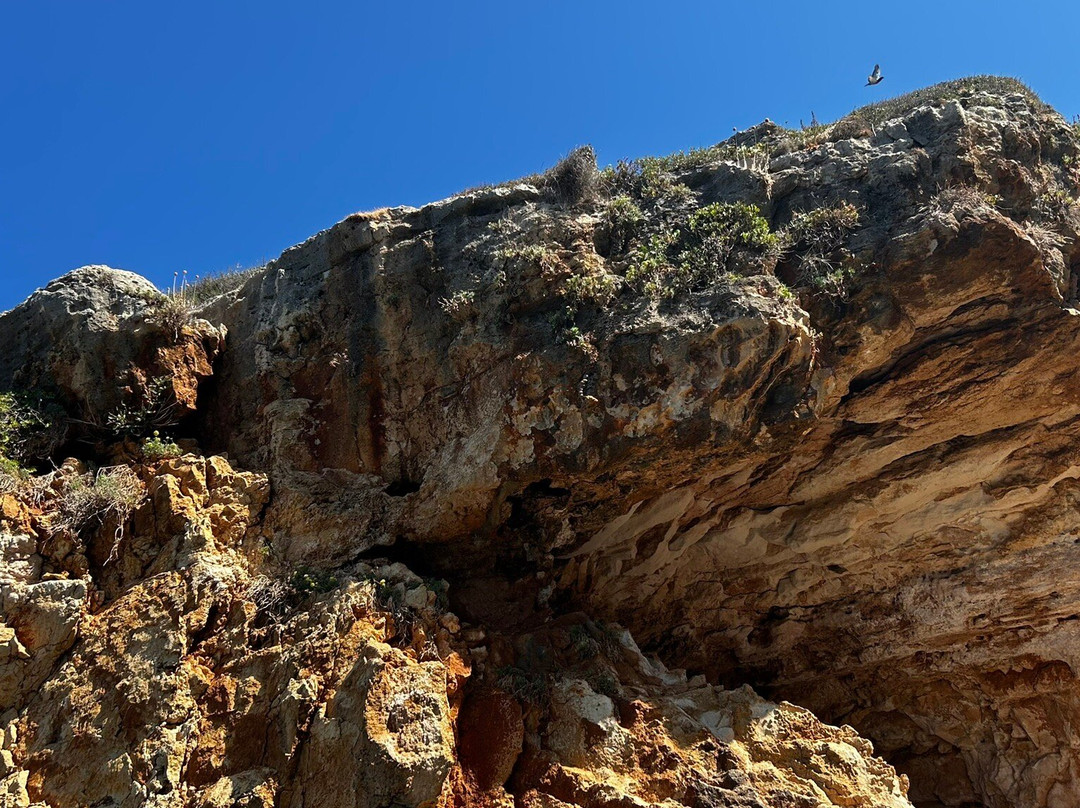 Rent a Boat - Manousakis Marine-雷斯蒙必去景点
