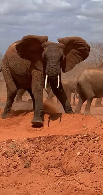 Dreaming Kenya con Bancomat-瓦塔木必去景点