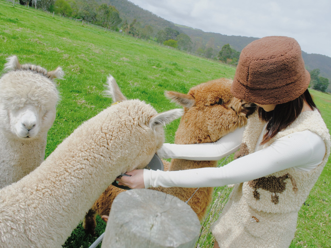 Softfoot Farm & Wildlife Park-Hindmarsh Valley必去景点