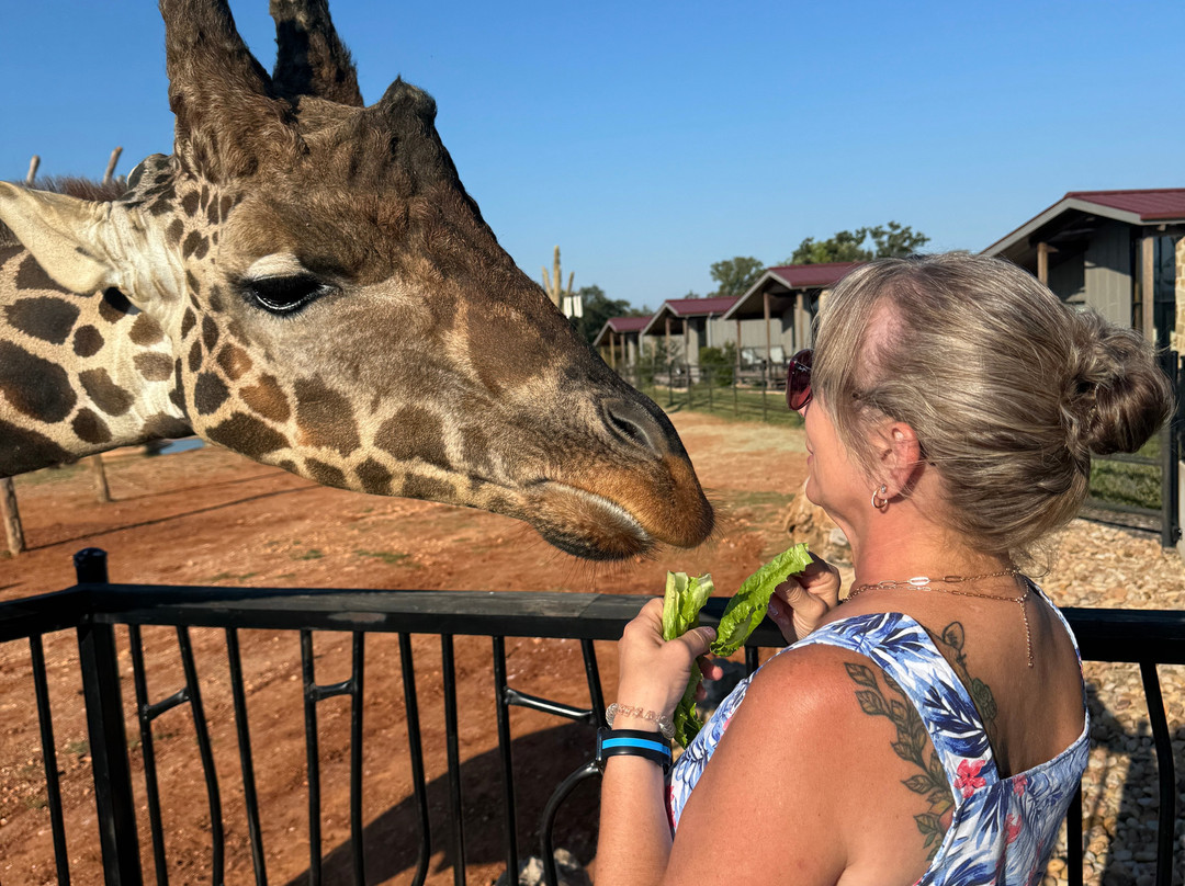 Longneck Manor-弗雷德里克斯堡必去景点