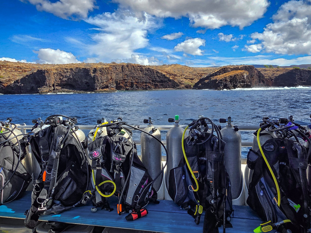 Maui Diamond Sea Sports-玛阿拉也亚必去景点