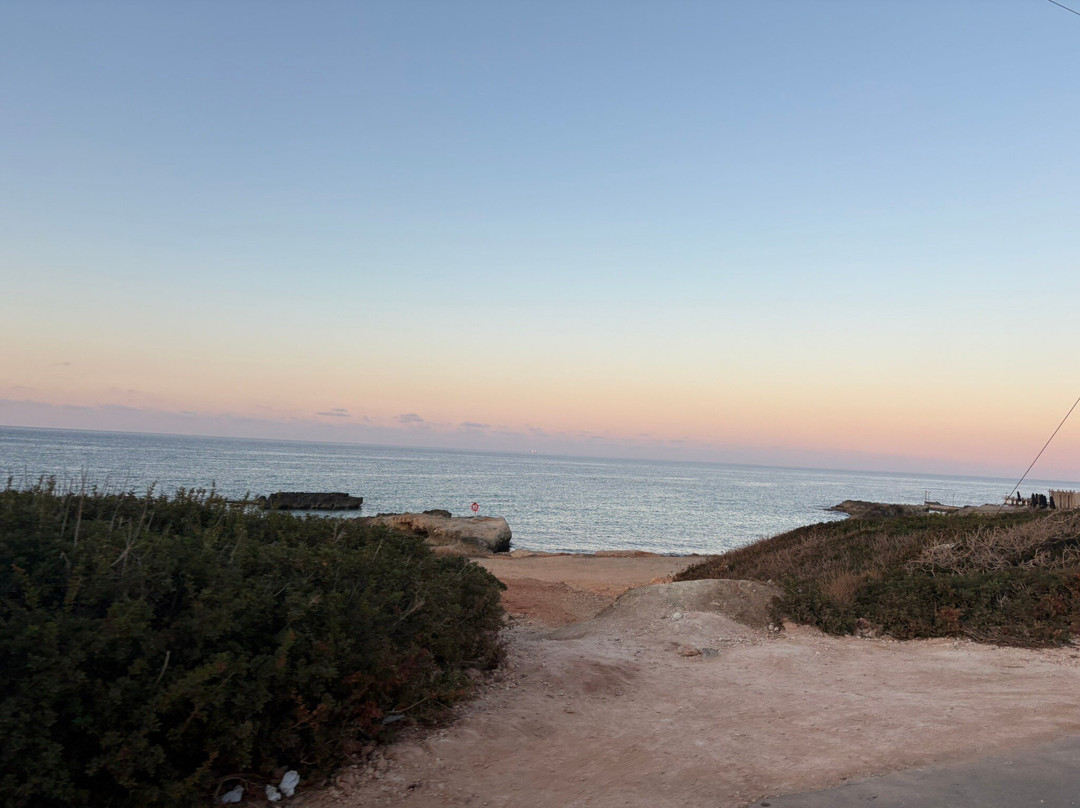 Happy Train-马利亚必去景点
