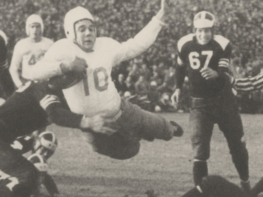 Quail Beer + Wine Bar