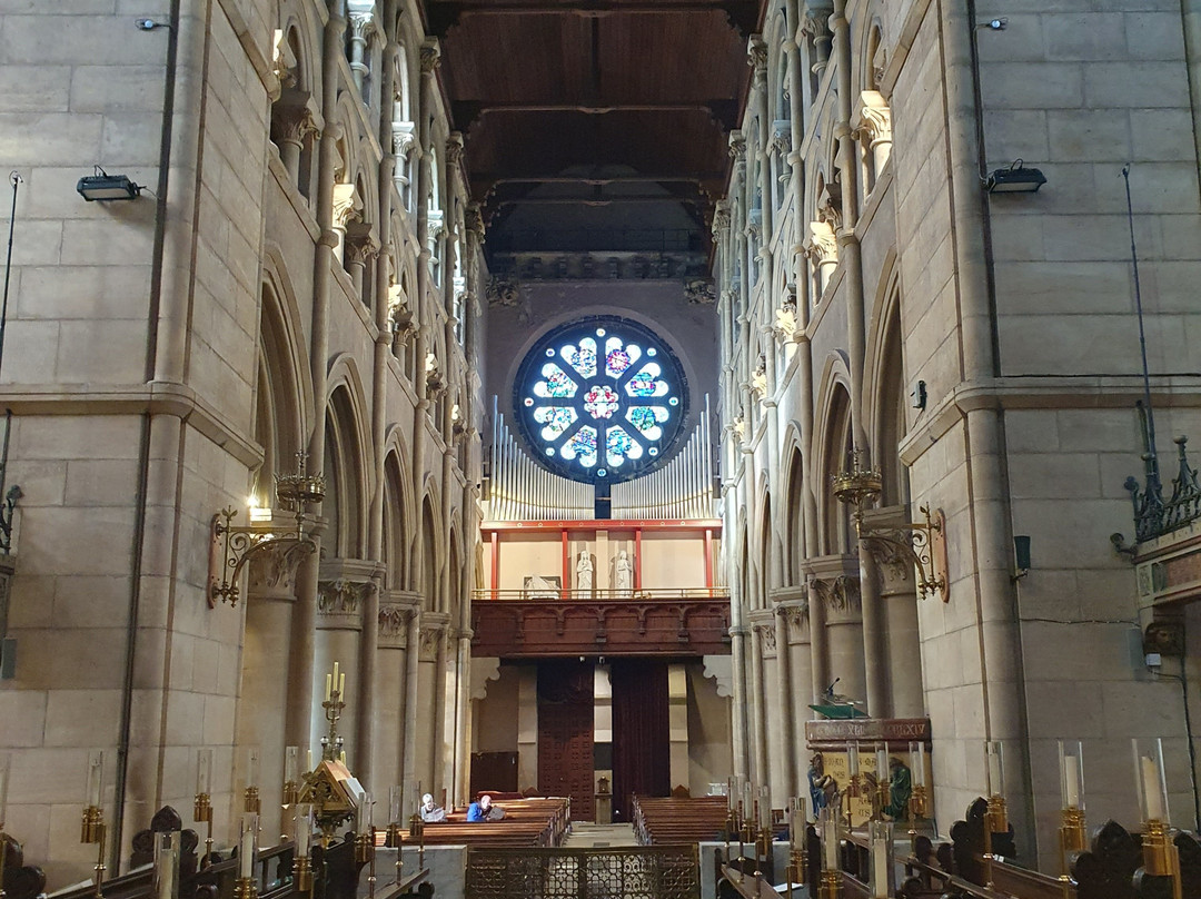 St Fin Barre's Cathedral-科克必去景点