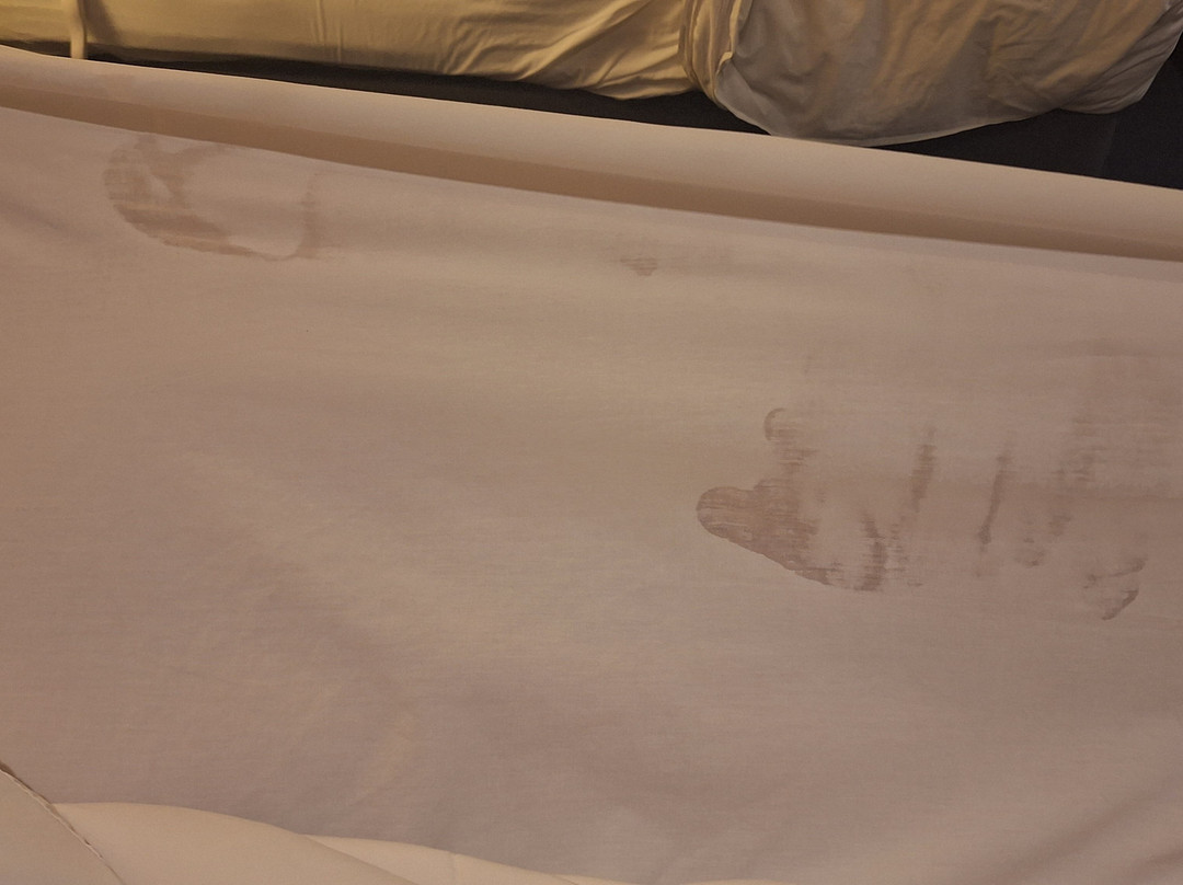 Super 8 by Wyndham Williams Lake BC主图