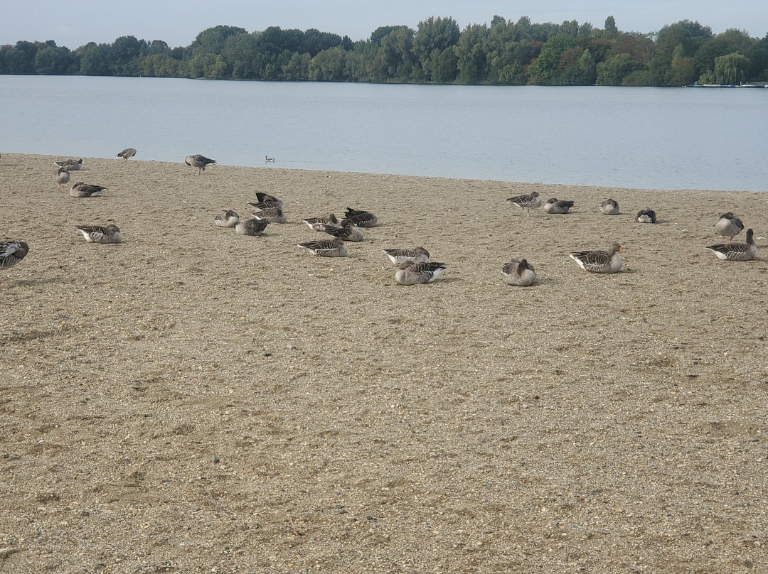 Salzgittersee-萨尔茨基特必去景点