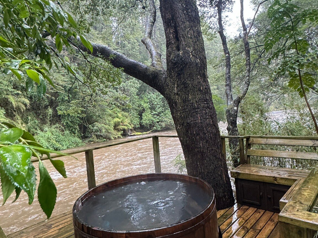 Hotel Termas de Manzanar主图