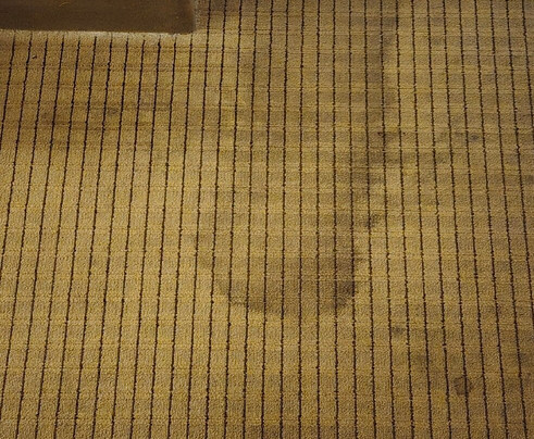 Isle of Capri Casino Hotel Boonville主图