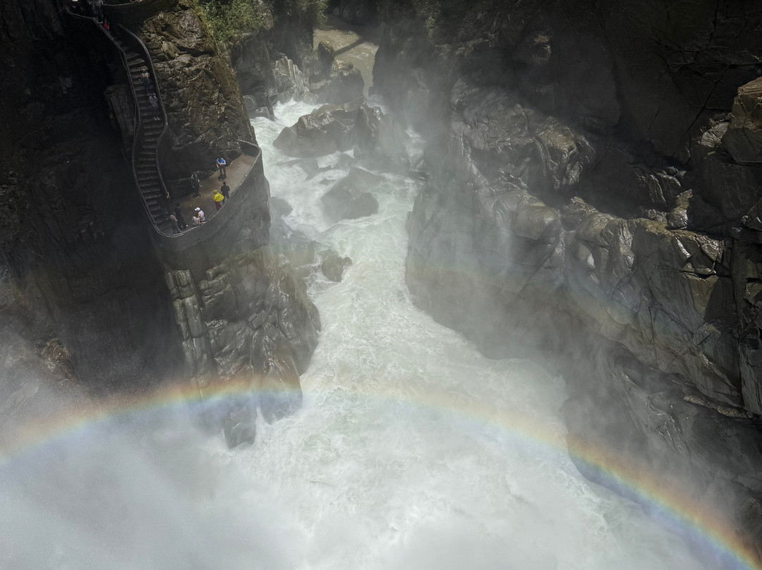 绿色家庭旅馆主图