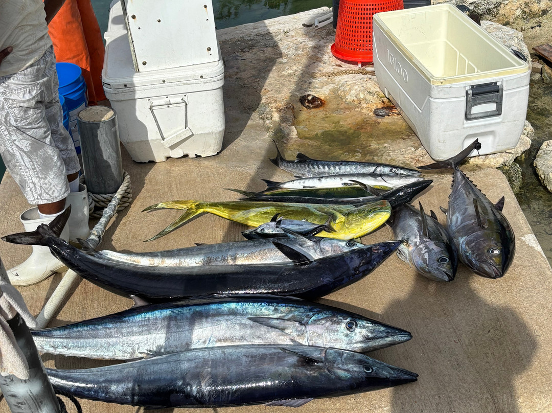 Paradise One Sports Fishing Charters-Somerset Village必去景点