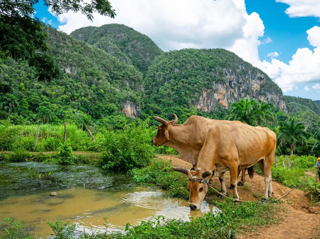 Riding Viñales-维纳勒斯必去景点