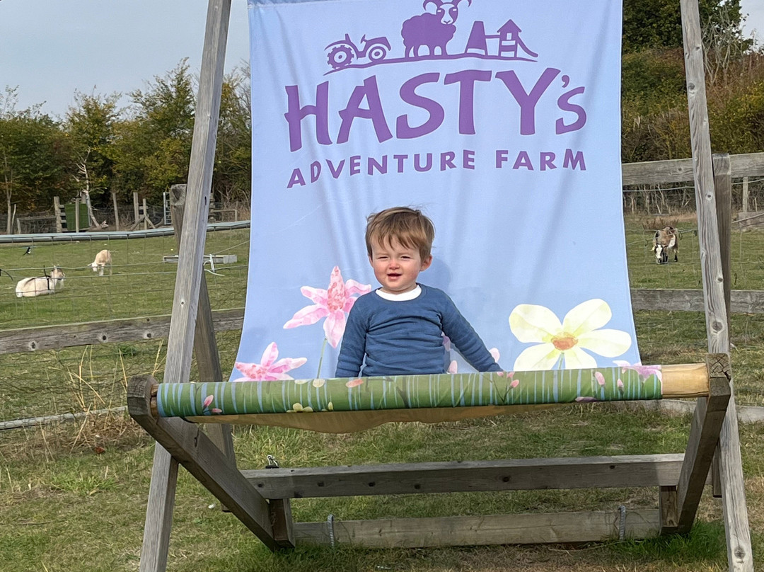 Hasty's Adventure Farm-滨海克拉克顿必去景点